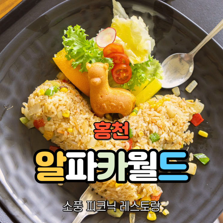 아이와 가볼만한곳 홍천 알파카월드 맛집 소풍