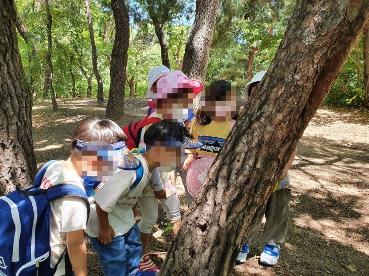 [아이들과 함께] 동고비의 생태학교 송파 올림픽공원 숲체험 후기