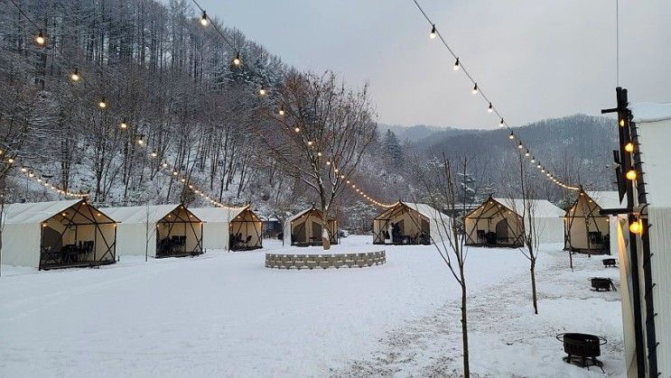 경기도 겨울여행 포천 글램핑 호랑이 캠핑장