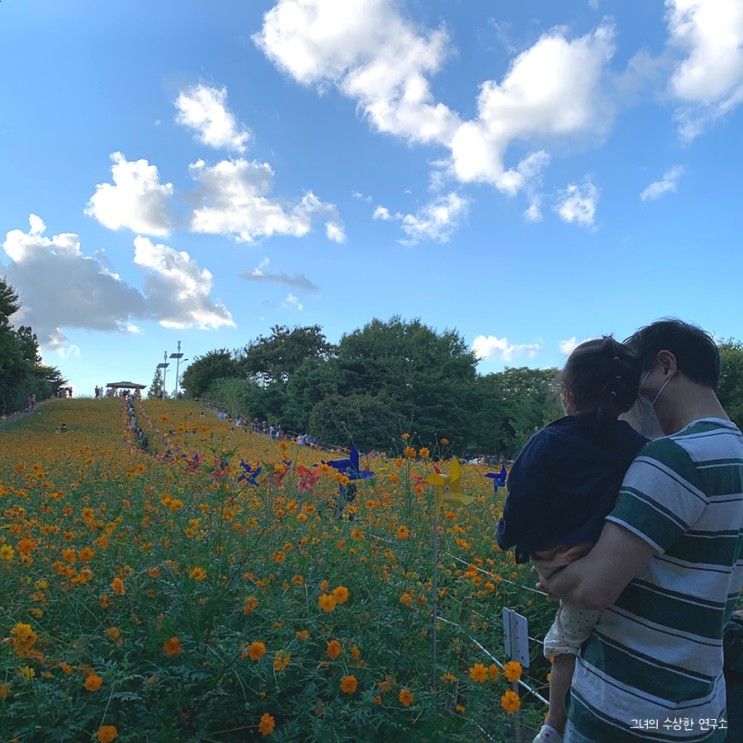 가을, 아이와 서울에서 가볼만한 곳_올림픽공원 들꽃마루