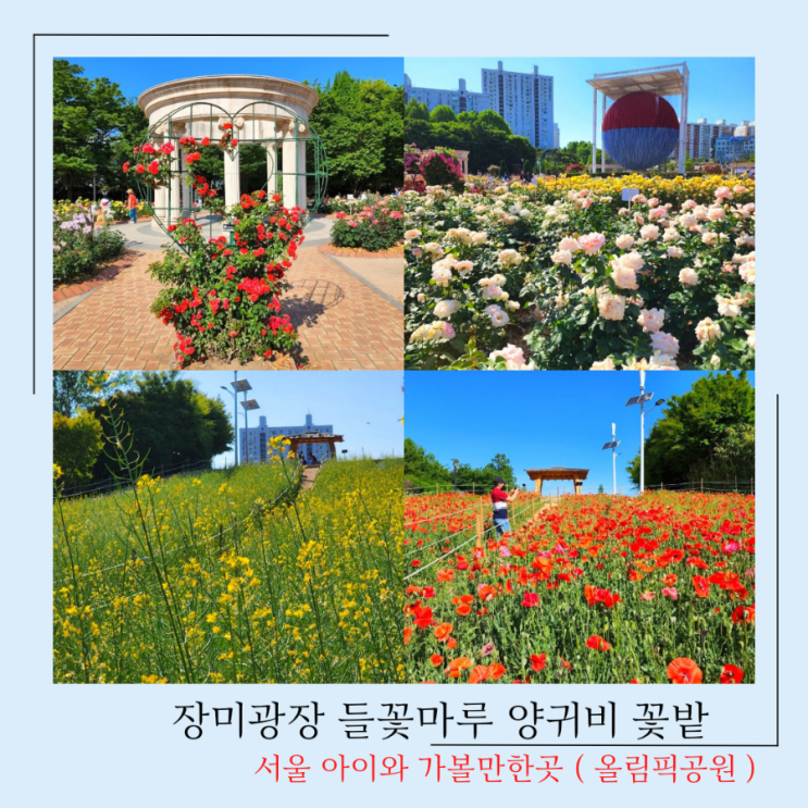 서울 아이와 가볼만한곳 올림픽공원 장미광장 축제 들꽃마루 양귀비 꽃밭 위치 주차팁