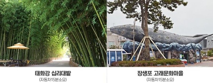 울산 패키지여행 스타즈 호텔에서 안락하게!