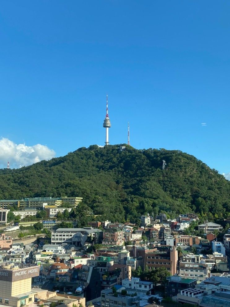 [명동역] 밀리오레 호텔 서울 명동 남산뷰 슈페리어 더블 숙박...