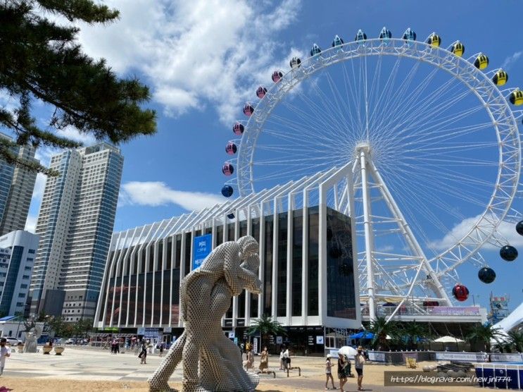 속초아이~보사노바~속초홍게나라~어반스테이속초해변