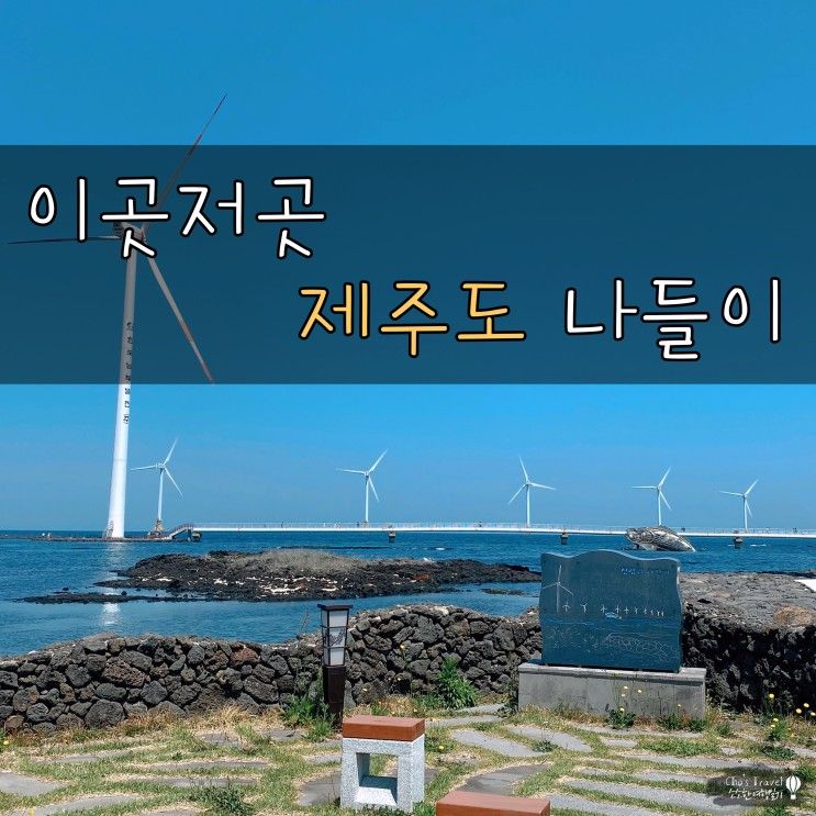 [제주도 가볼만한 곳/제주여행/국내여행] 베니키아 호텔 제주...