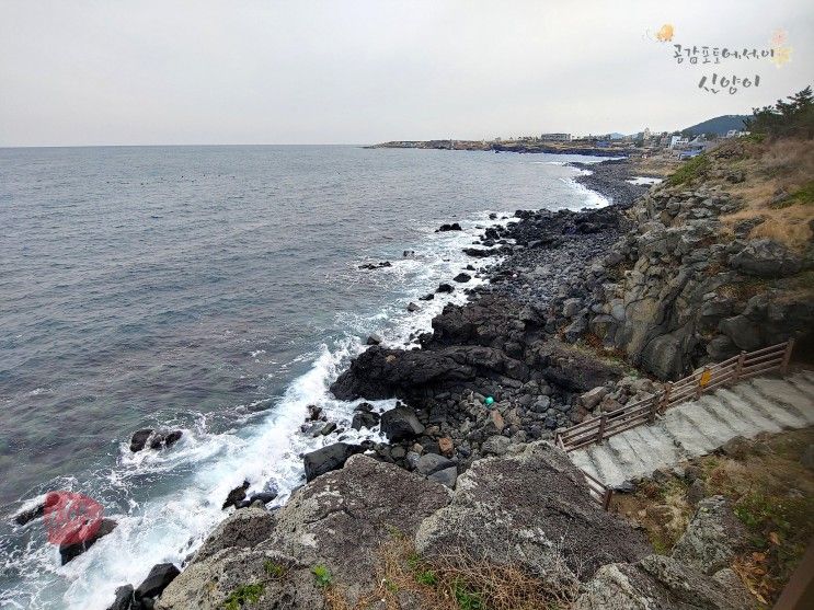 제주애월호텔 오션뷰 가성비 베니키아호텔 제주