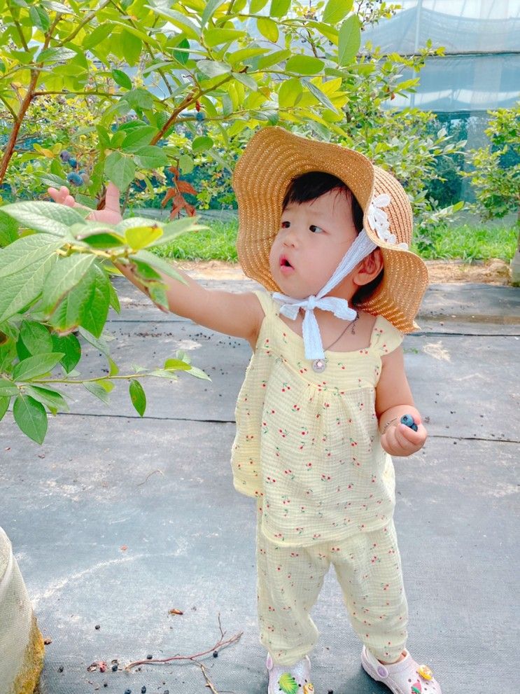 용인청정팜 물놀이도하고 블루베리 체험도 즐겨요