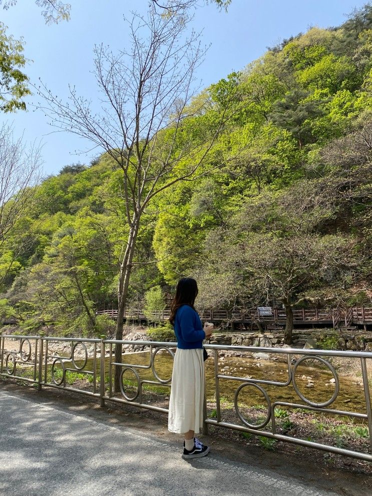 경북 문경새재 숙소 라마다호텔(페트로호텔) 숙박후기 + 문경새...