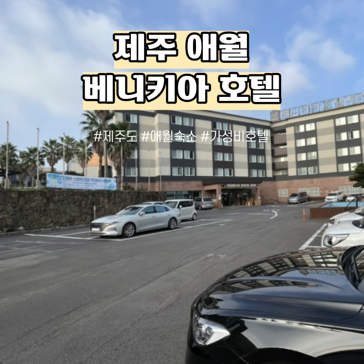 제주 애월 가성비 숙소 베니키아 호텔 수영장 조식 까지