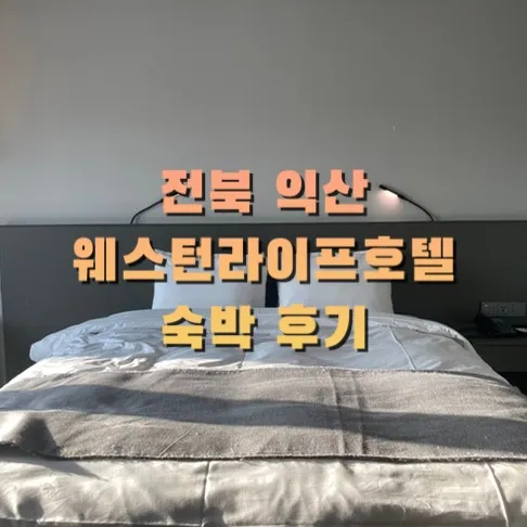 숙소, 전북 익산 가성비호텔 웨스턴라이프호텔(수영장)