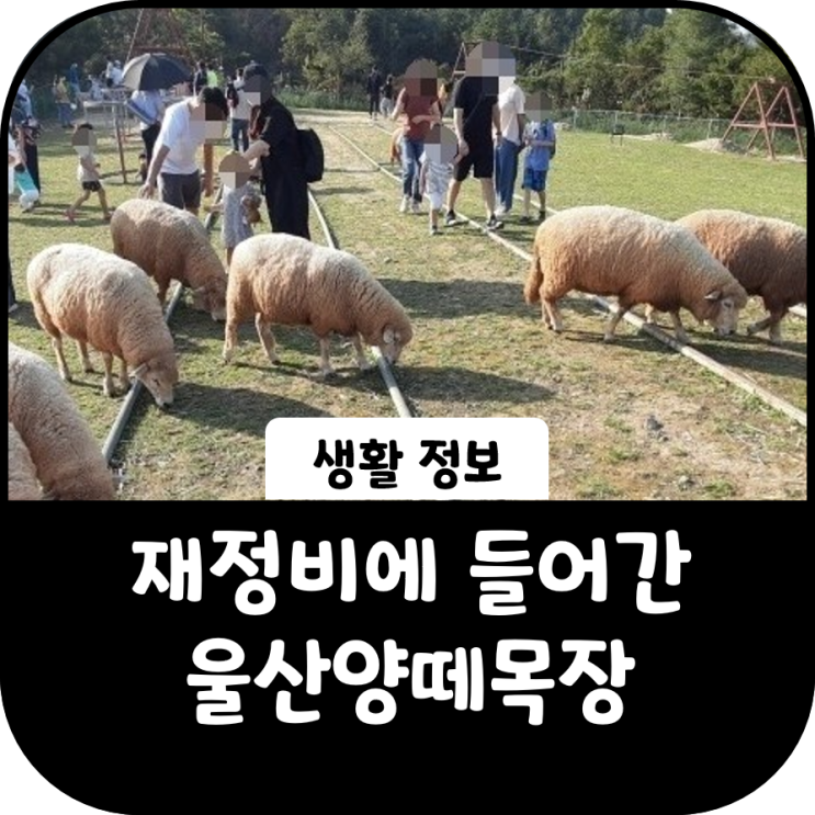 재정비에 들어간 드넓은 초원, 울산 양떼목장