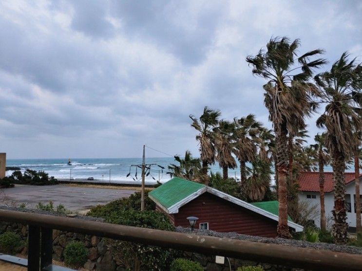 제주도 가족여행 서귀포 펜션 바다랑 파도랑 바다 뷰