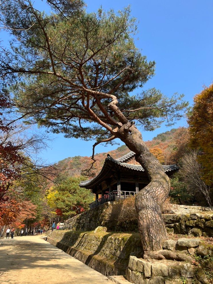 [문경새재도립공원, 문경가름펜션, 파밀리아, 피코카페] 이제는...