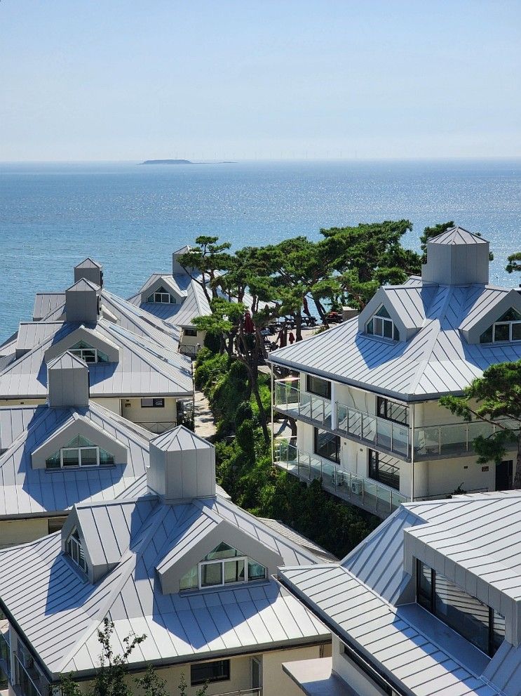 [부안] 모항레저타운, 격포해수욕장, 변산반도, 애견동반식당