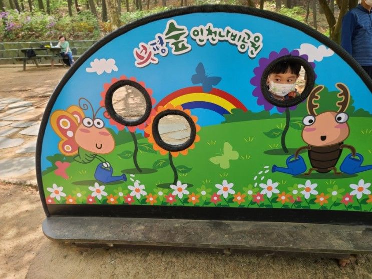 부평 나비공원 곤충과 꽃을 만날 수 있는 인천 아이와 가볼만한곳