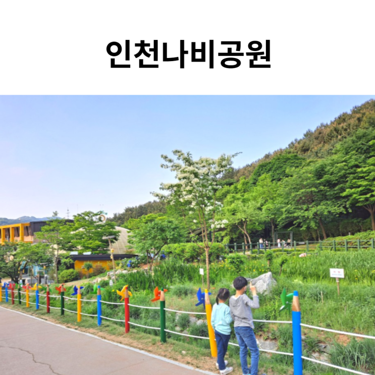 인천 부평 장수산 아이랑 산책 인천나비공원