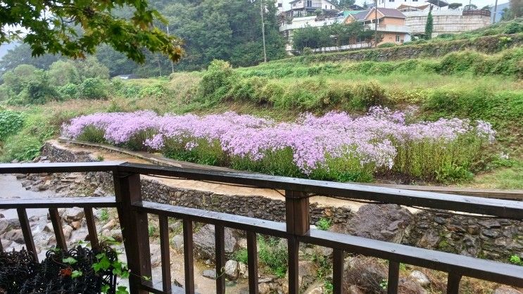 남친 양평 벨뷰 펜션 꼬셔서 다녀오기 ㅎㅎ