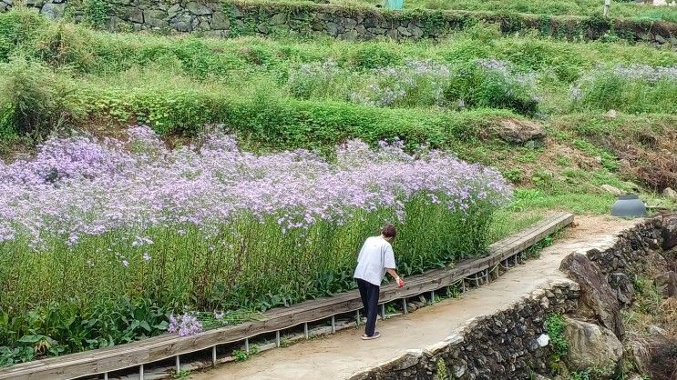 양평 여행 커플 벨뷰 펜션 '데이지' 객실