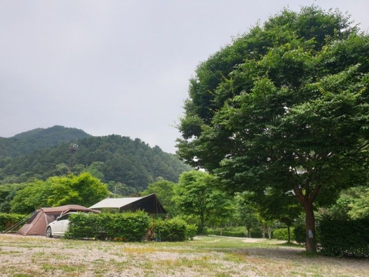 춘천 계곡 캠핑장 춘천캠핑월드