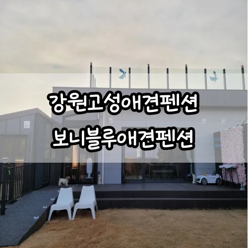 [고성애견펜션] 보니블루애견펜션 : 프라이빗한 독채