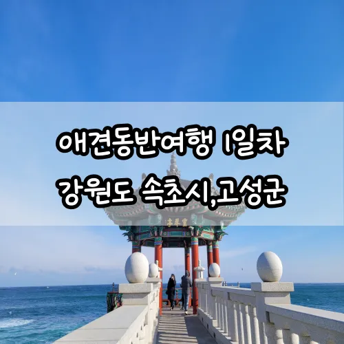 1일차 속초, 고성 : 영금정/동명활어센터/보니블루애견펜션