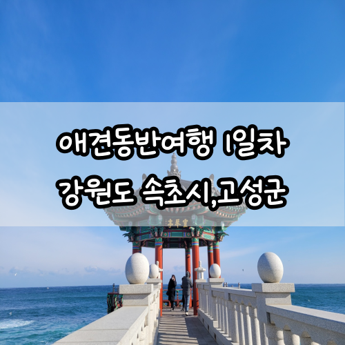 1일차 속초, 고성 : 영금정/동명활어센터/보니블루애견펜션