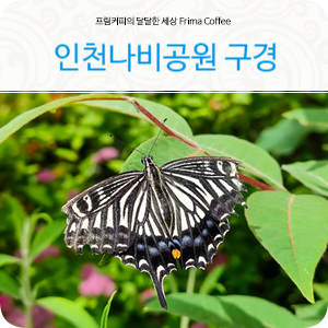 인천 아이와 가볼만한곳 신기한 인천나비공원