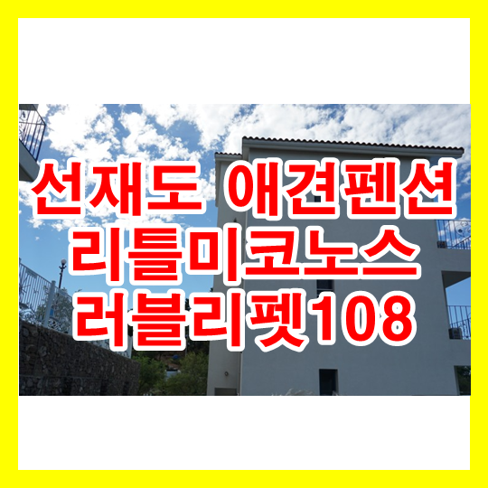 선재도 애견펜션 리틀미코노스 러블리펫108 대부도 바다본 후기!