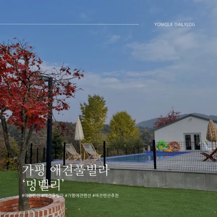 가평애견펜풀빌라 ‘멍밸리’ / 가평애견펜션...