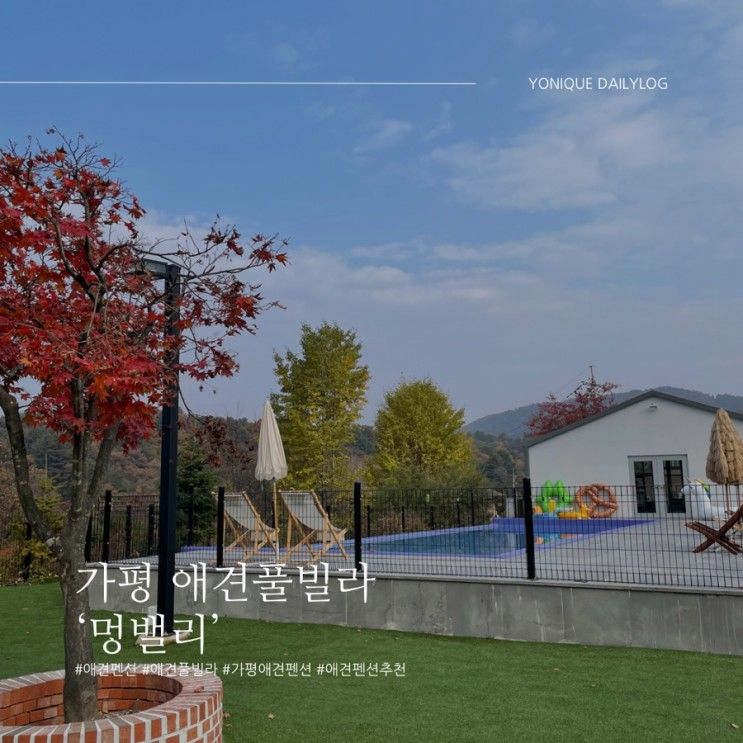 가평애견펜풀빌라 ‘멍밸리’ / 가평애견펜션...