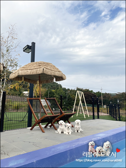 경기도 가평 '멍밸리펜션' / 강아지펜션 / 애견펜션 / 멍밸리