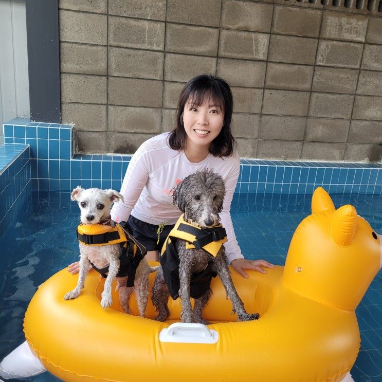 추천 실내, 실외 수영장 모두 있는 가평 멍밸리 독채 애견풀빌라