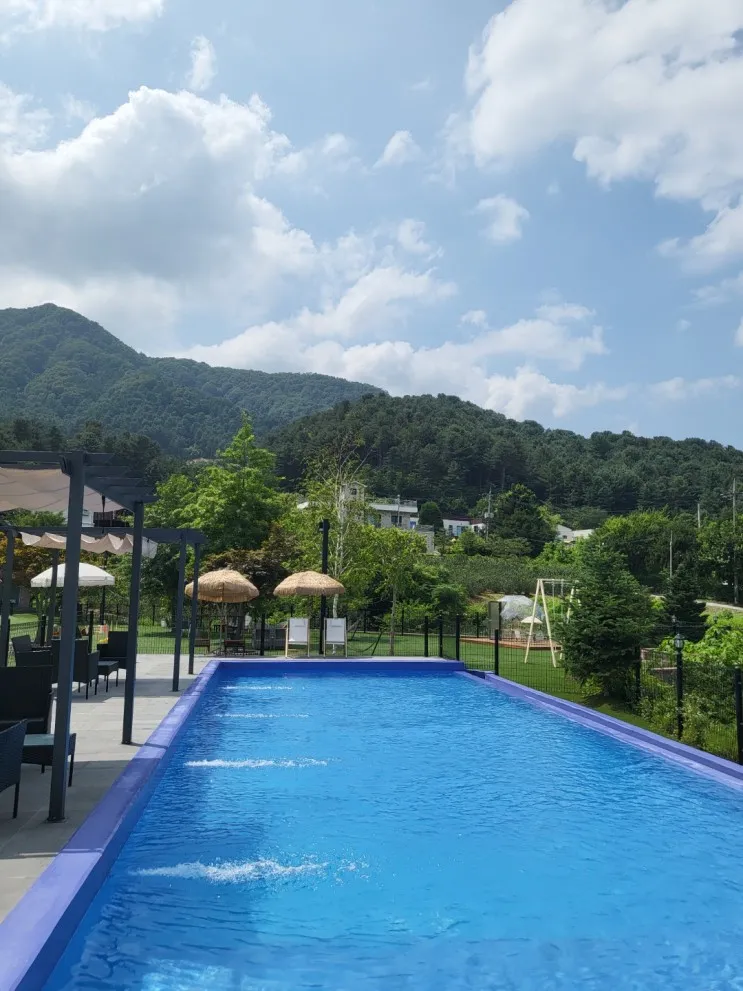 가평 애견펜션 풀빌라 강아지와수영 멍밸리