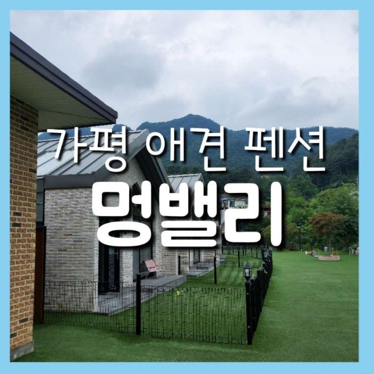 프라이빗 애견 풀빌라, 애견 동반 수영장 펜션 "멍밸리"(내돈내산)