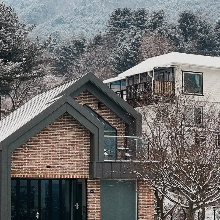 [가평 애견 풀빌라] 멍밸리 펜션 :내 돈 내산 풀빌라  후기 진짜...
