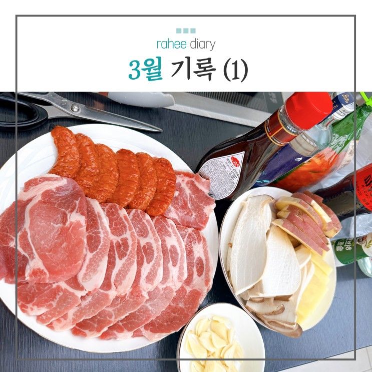 맛집 한판소/가평 깔끔한 애견펜션 멍밸리 애견풀빌라 :)