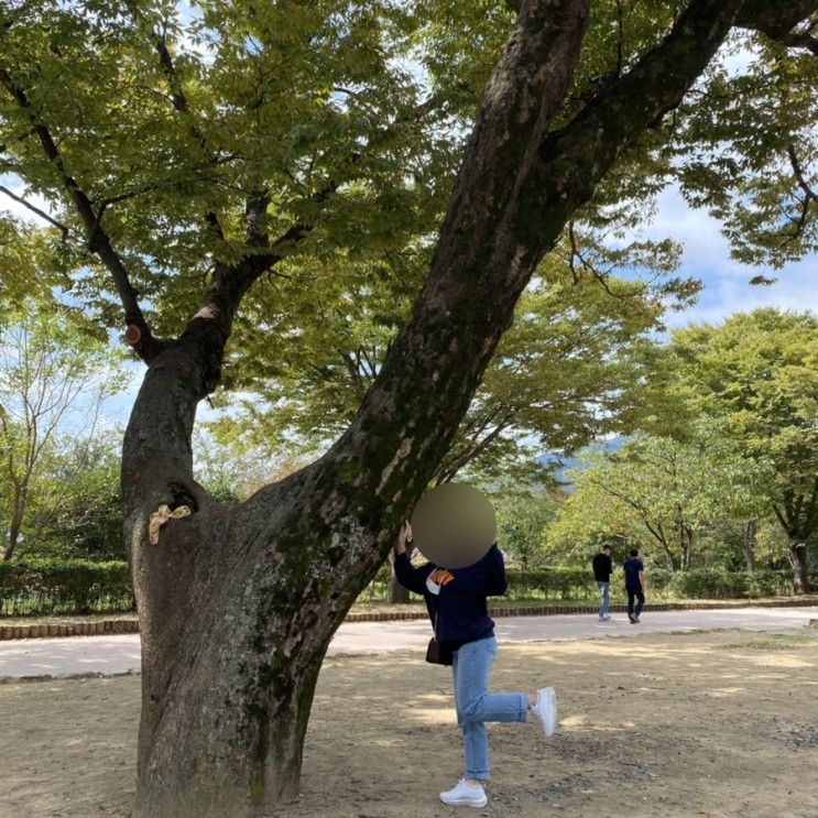 순천낙안읍성 여행정보공유! 순천펜션 사계절해오름펜션 솔직후기