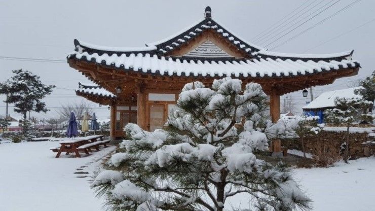 순천낙안펜션 분위기 좋은 사계절해오름한옥펜션