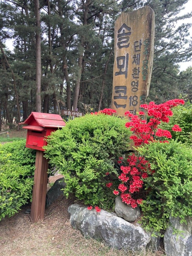 태안펜션 몽산포솔뫼마을펜션 갯벌에서 조개 잡고 바베큐도...