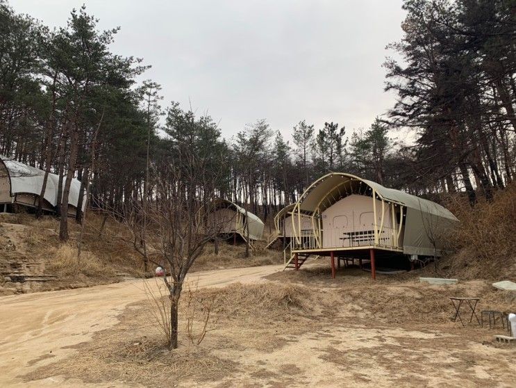 [강원도/속초]속초밤하늘글램핑 /글램핑장추천!!