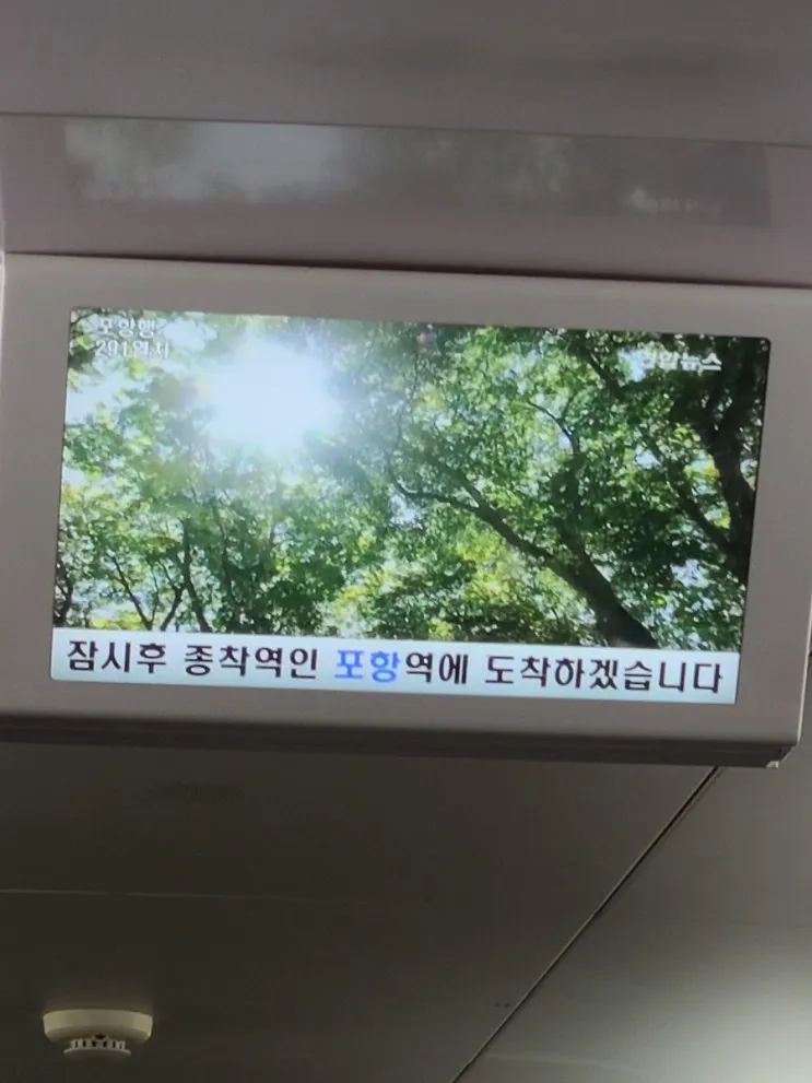 2022년 포항 여행 | 티베이 풀빌라 | 디마레 | 카페 오브레멘