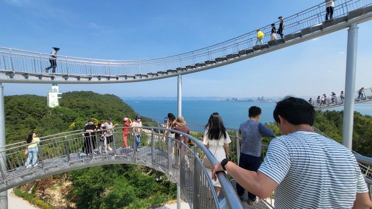 포항 펜션 오션뷰 수영장... 여름 휴가지로 추천 코지스위트펜션