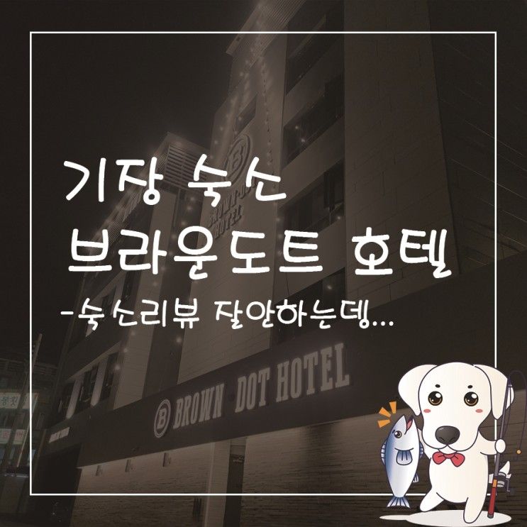 [브라운도트]기장 연화리 호텔 가성비 만족도 좋은 숙소~
