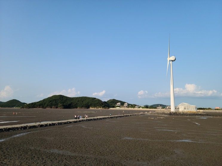 안산 가볼만한곳 대부도 탄도항, 누에섬 가는 길은 서해바다...