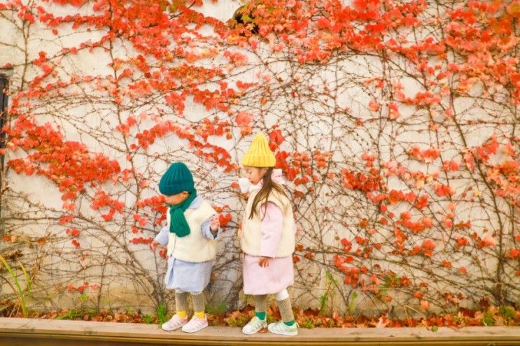 11월 아이와 내돈내산 가평글램핑, 캠프통아일랜드에서 찜질방...