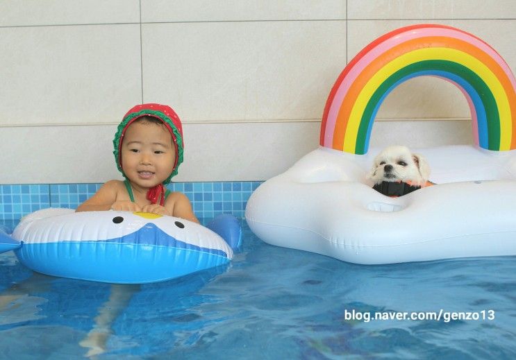 경주 애견동반 펜션 위클라드 독채 풀빌라