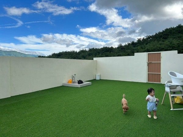 경주 위클라드 애견풀빌라! 13개월 아기와 여행