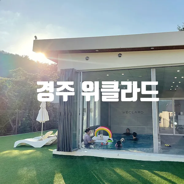 경주 애견 동반 위클라드 풀빌라 내 로망이 된 곳