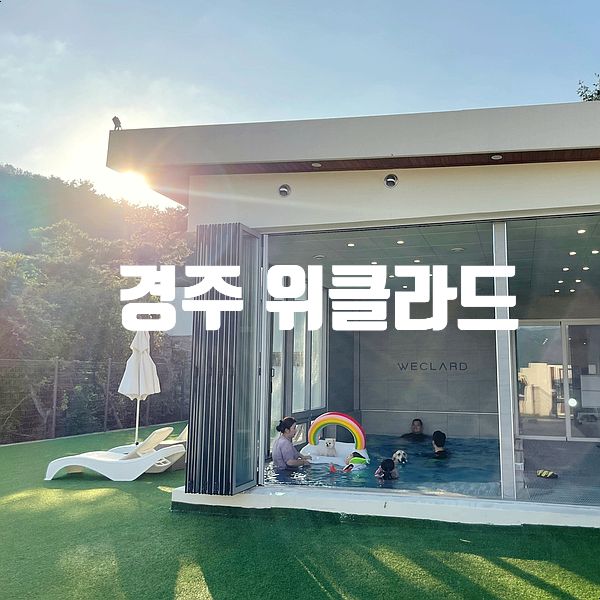 경주 애견 동반 위클라드 풀빌라 내 로망이 된 곳