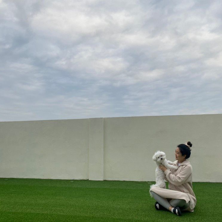 경주 위클라드 애견풀빌라 : 솜이 생일 기념 다녀왔어요(≧∀≦)